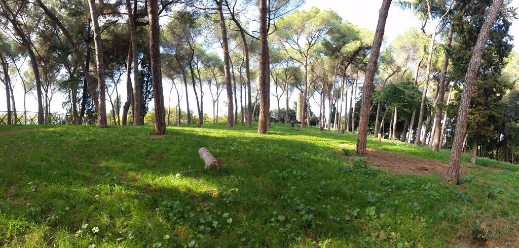 Holiday Home Roma 객실 사진